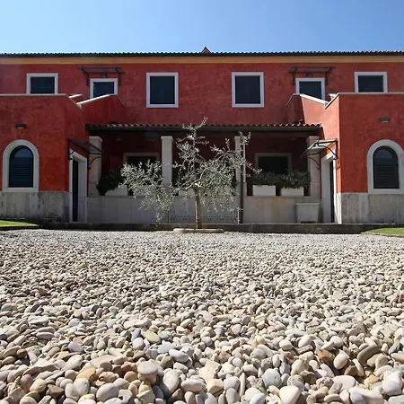 Beccaccia Fažana